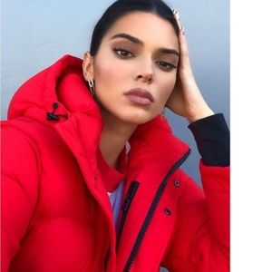 Aritzia Catalina Red Down Jacket
